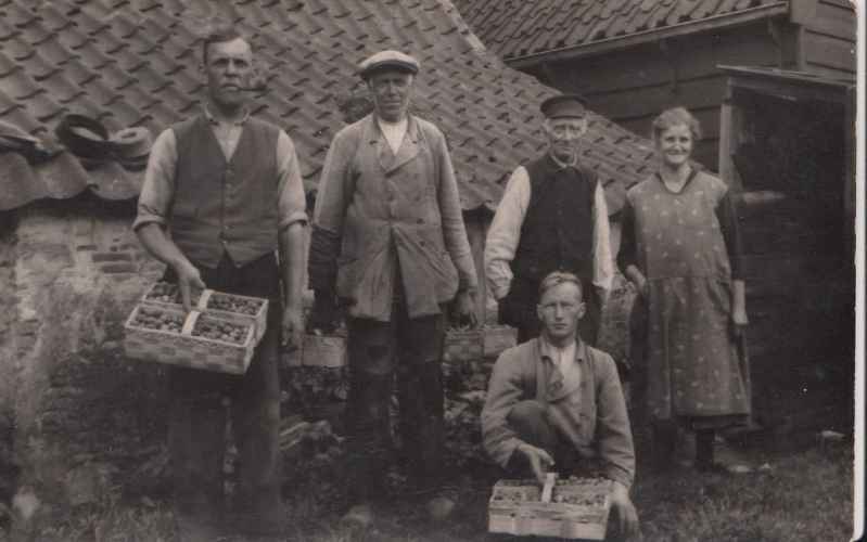 Aardbeien tuinders 
Aardbeien tuinders 
Keywords: bwijk personen