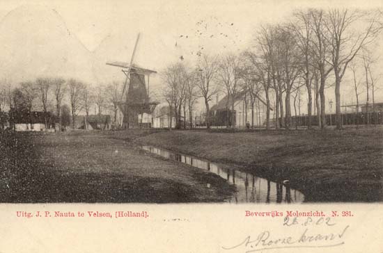 Halve Maan
'Molenzicht'. In vroeger jaren waren er in Beverwijk enkele molens, een daarvan was de korenmolen 'de Hoop' welke eeuwenlang aan het Stationsplein stond. Scholtens schrijft in zijn boek: De Wijkerhaven strekte zich in het midden van de 17e eeuw uit tot nabij de meelmolen, waarvan de werf langs het tegenwoordige Stationsplein was gelegen. In 1905 stopte de molenaar met malen en een jaar later werd de molen afgebroken of beter gezegd onttakeld. De gehele bovenbouw inclusief omloop en wieken verdween. De toenmalige eigenaar G.Smit verkocht dit alles, er was veel vraag naar. Wat restte werd verkocht aan de Ned.Spoorwegen. Het restant van de molen werd nog enige tijd gebruikt voor het veilen van aardbeien en de opslag van sloffen, maar in 1929 brandde alles af en was het einde molen.
Keywords: Halve Maan bwijk molen