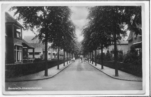 Akerendamlaan
Keywords: Bwijk Akerendamlaan