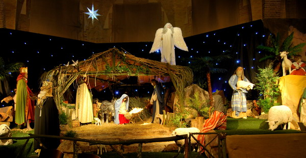 Kerststal 2012
Kerststal 2012 in de Agathakerk te Beverwijk

fotos L Hendriks
Keywords: bwijk Kerststal 2012