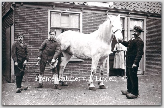 Bedrijven Beverwijk
P. Steevens thuis voor zaken verlof tijdens de moblisatie (1917) beslaat de svhimmel van Wiehering op de Baanstraat 24. Links T.H. Steevens bij het paard zijn been P. Steevens met tang G. Steevens    eigen foto
Keywords: bwijk steevens baanstraat