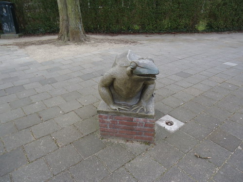 Groene Kikker
Het schoolgebouw dat heeft gestaan vanaf 1908 aan de Prins Bernhardlaan 10 heeft in de loop der jaren verschillende bestemmingen gehad. 
Van openbare mulo- en avondschool tot mytylschool van de zorginstelling Heliomare. Telkens werd er een nieuwe opleiding in dit gebouw gehuisvest en zodoende kreeg die school telkens een nieuwe naam. Maar één ding bleef hetzelfde: de bijnaam ‘Groene Kikkerschool’. Al die jaren bleef de bijnaam hardnekkig aan het gebouw verbonden. En dat alles dankzij dit groene beeld die naast de school stond. Gelukkig maar, want bijnamen zijn soms beeldender en aanstekerlelijker dan de echte namen. Ondanks dat er nu riante villa’s er staan heet in de volksmond deze plek nog steeds “de groene kikker”. Het beeld van de groene kikker werd in 1959, na een renovatie van de school, bij de ingang geplaatst. Nu staat het beeld aan de overkant want na 54 jaar is het nog steeds een opvallend beeld. Goed in zijn vorm en lekker fors.      

Bron: Blik op Beeld, Tekstbureau Zonneveld & Thöne i.o.v. gemeente Beverwijk, 2006.
Foto en bewerking: Co Backer
Keywords: bwijk Openbare Kunstwerken