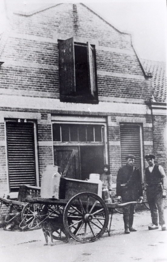 Melkinrichting Juliana
Melkinrichting Juliana
Deze is later overgenomen door Melkinrichting Velsen. Dit betreft de Jan Alsweg in circa 1930. Achter de melkkar, waarbij de hond als trekdier fungeerde, staat links J. de Wit en P. Adrichem. Het bedrijf Juliana voorheen NV Stoomzuivelfabriek is op 24 januari 1928 overgegaan in handen van de heren Vel en Hoogewerf, en weer later uitgroeide tot de veel grotere Melkinrichting en Zuivelfabriek Meijendel aan de Koningstraat
Jan de Swart
Keywords: bwijk Melkinrichting koningstraat