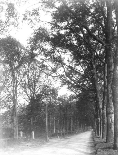 Velserweg 
Velserweg nabij buitenplaats Waterland
Keywords: Velserweg bwijk